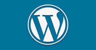 Cómo evitar saturar o sobrecargar tu blog en WordPress