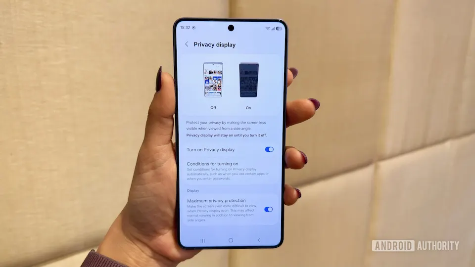 Privacy Display 4