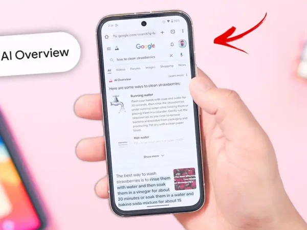 ai overview de google